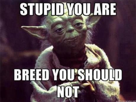 1d8f4e40ee550e3b999da30c91352017--funny-stupid-people-quotes-yoda-memes.jpg
