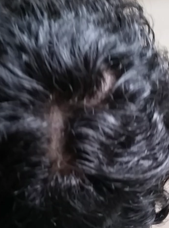 2016-06-23 12.50.38.png