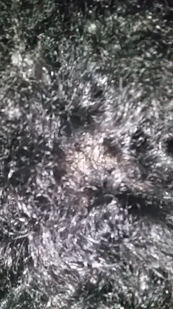 2016-06-23 16.32.34.png