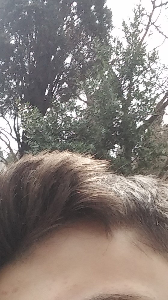 20160227_123805 (2).jpg