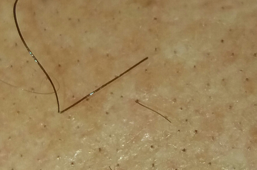 20180405_170413 pelo pedro.jpg