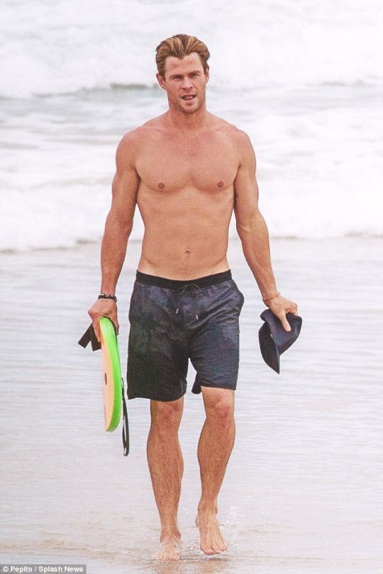 442046562a23ea6dfeb9e843af2a10c9--chris-hemsworth-ocean-life.jpg