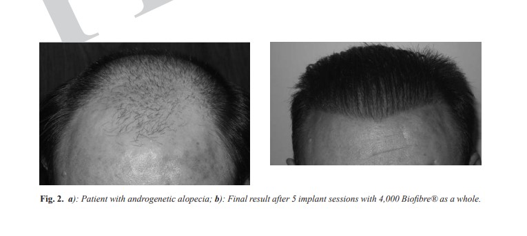 Annotation 2019-07-10 145359.jpg