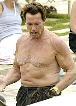 arnold-schwarzenegger-fat.jpg