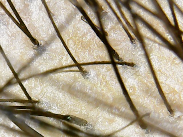 back center edge.jpg