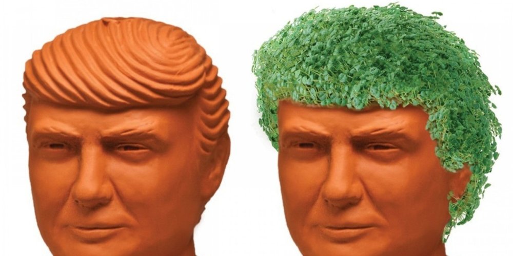chia_trump.jpg