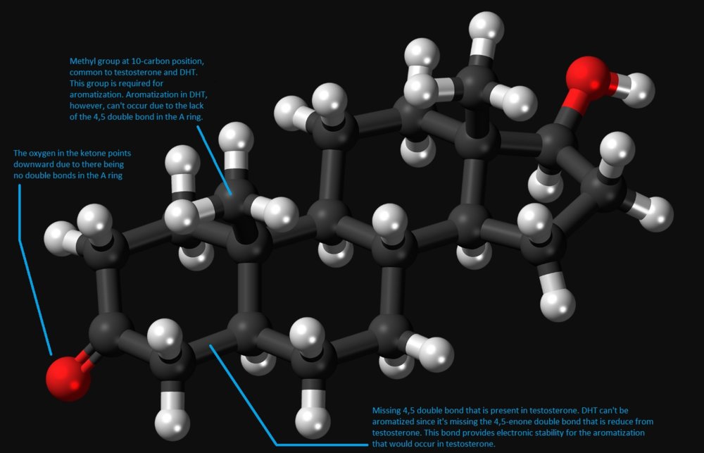 Dihydrotestosterone_conformation.jpg