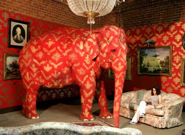 elephantintheroom.jpg