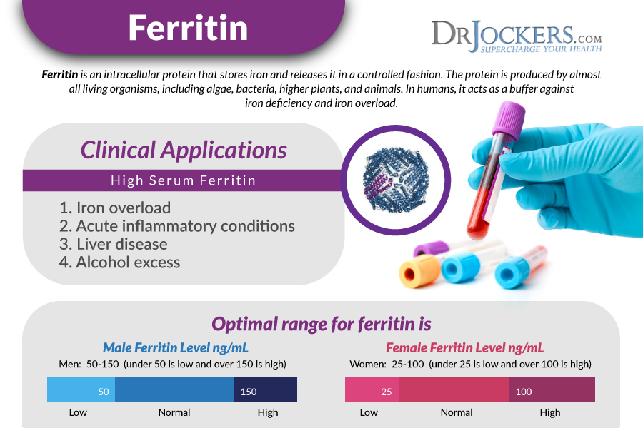 ferritin-blood-test-s4-test-level-results.jpg
