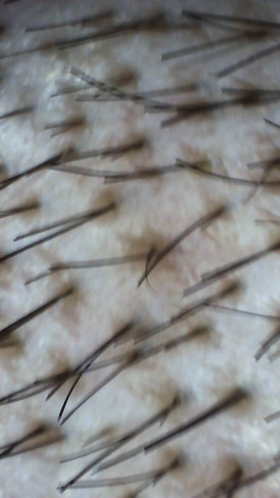 Image_2020-12-25 08_51_13_510.JPG