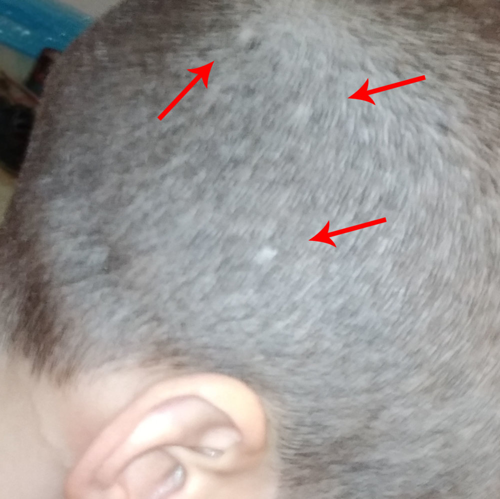 IMG_20190527_100106 copy87888.jpg