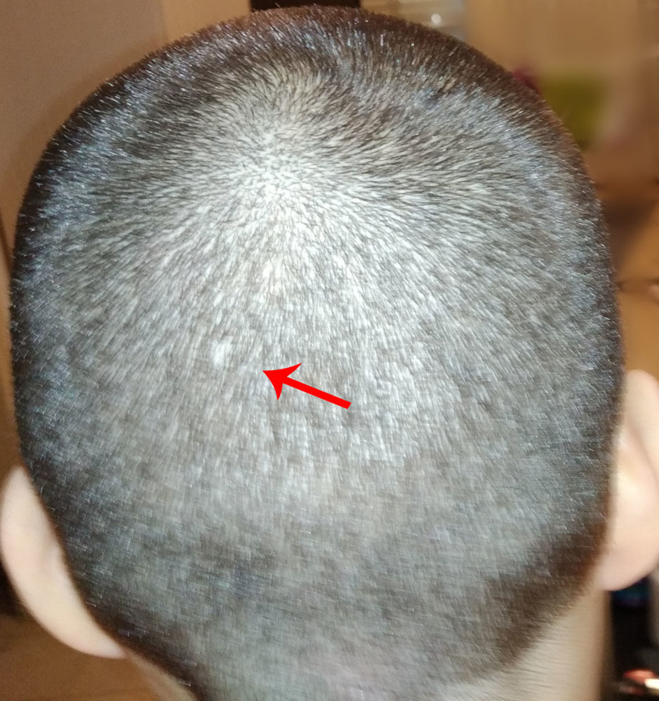 IMG_20190527_100343 copy.jpg