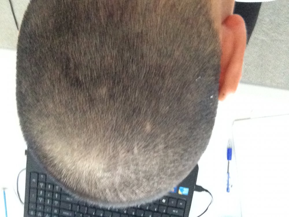 import120161112 026.JPG