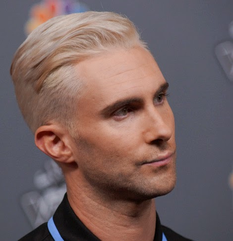 Neat-Blonde-Hair-Adam-Lavine-2014.jpg