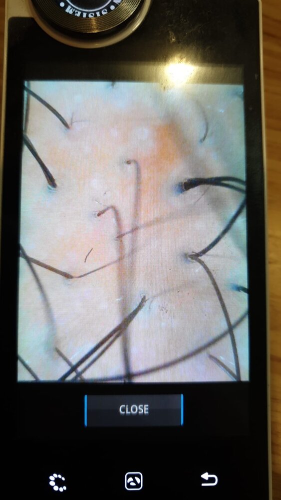 Photo May 09, 18 48 05 (3).jpg