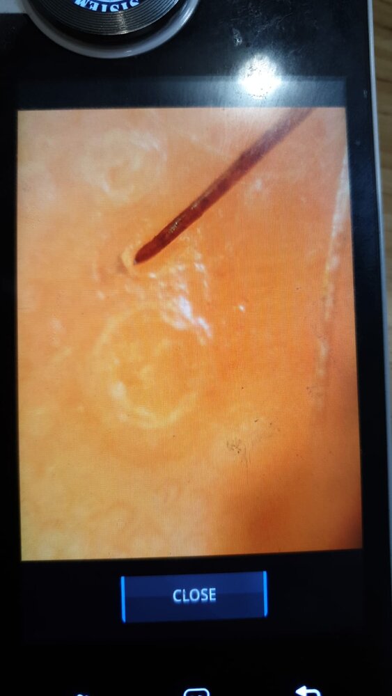 Photo May 09, 18 48 05 (4).jpg