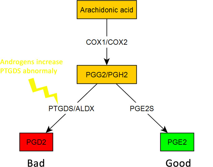 prostaglandins.jpg