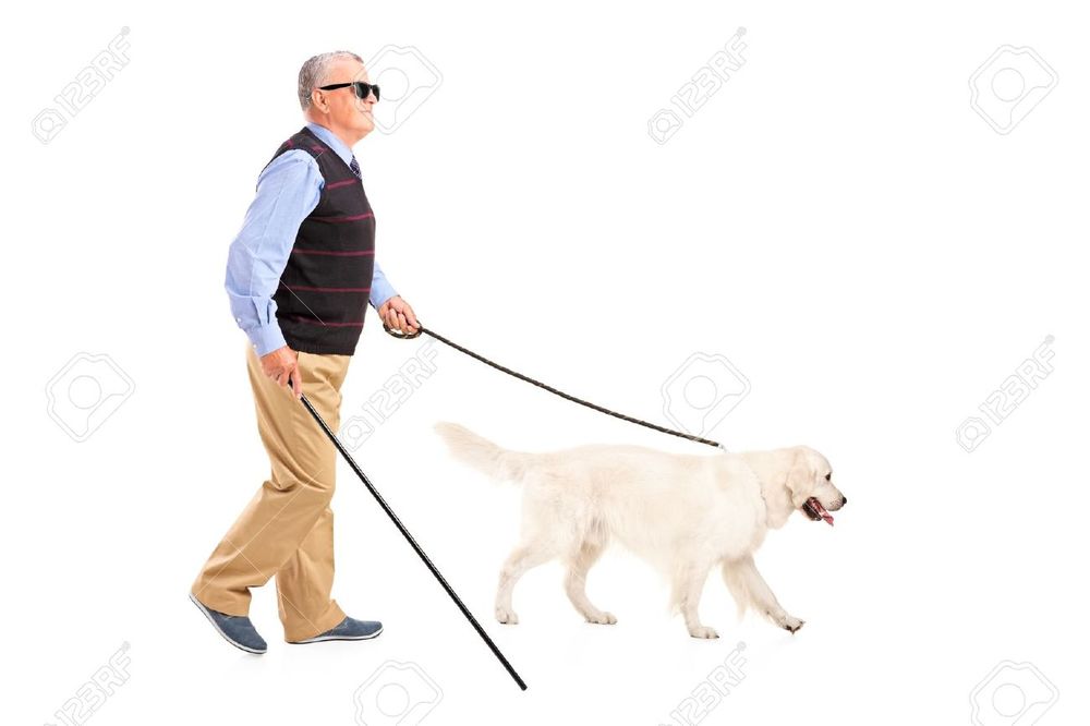 rait-of-a-blind-man-moving-with-walking-stick-and-his-dog-isolated-on-white-backgrou-Stock-Photo.jpg