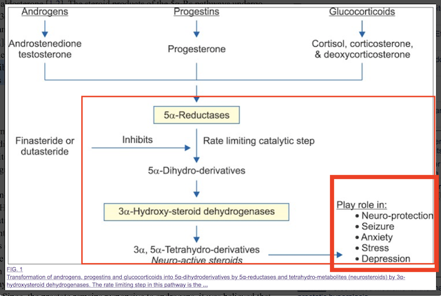 Screen Shot 2018-01-06 at 8.19.16 PM.png