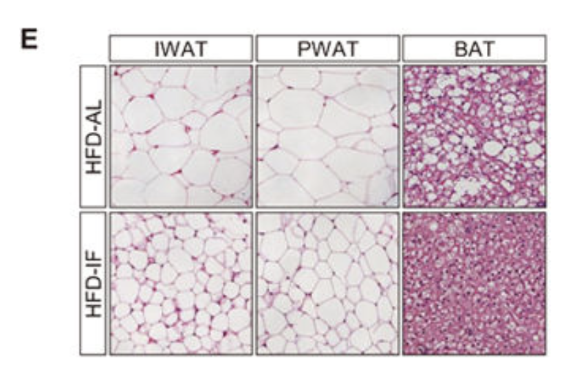 Screen Shot 2018-04-15 at 7.44.08 PM.png