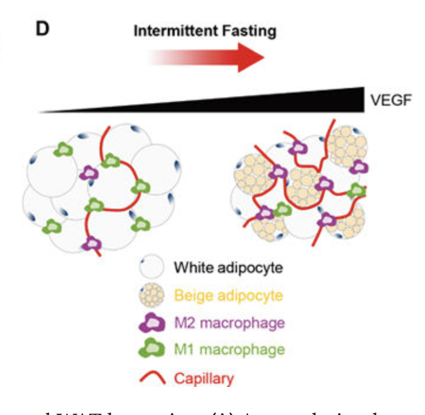 Screen Shot 2018-04-15 at 7.44.39 PM.png