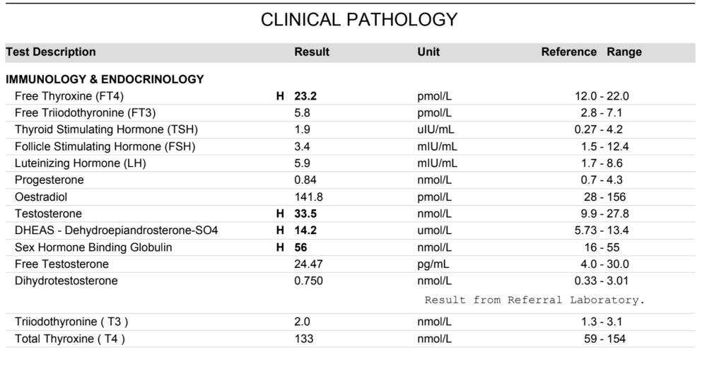 Screen Shot 2018-09-27 at 16.53.54.png