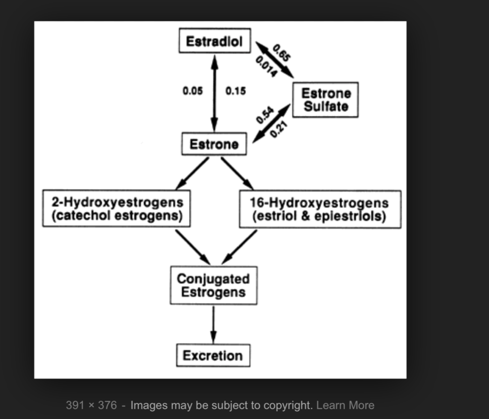 Screen Shot 2019-06-05 at 10.22.59 AM.png