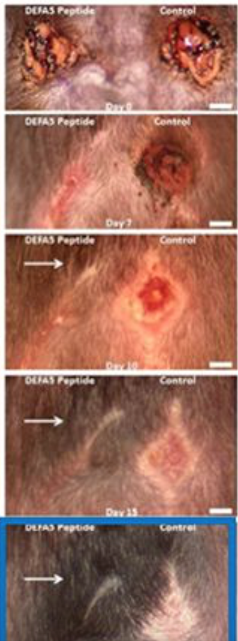 Screenshot 2018-01-30 23.44.41.png