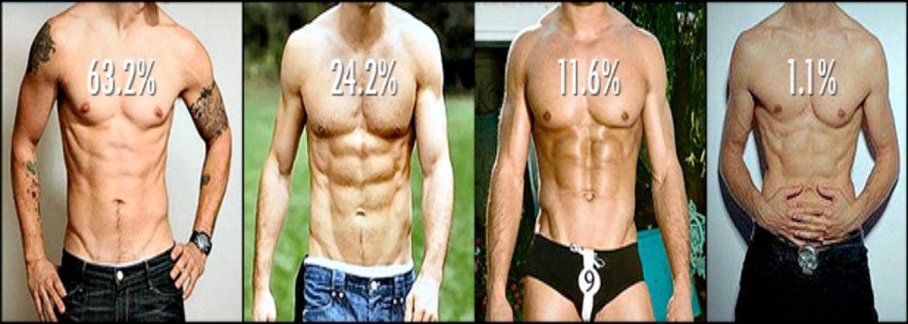 sex-icon-line-scott-herman-bob-adrien-brody-zyzz-ideal-body-small-1024x366.jpg