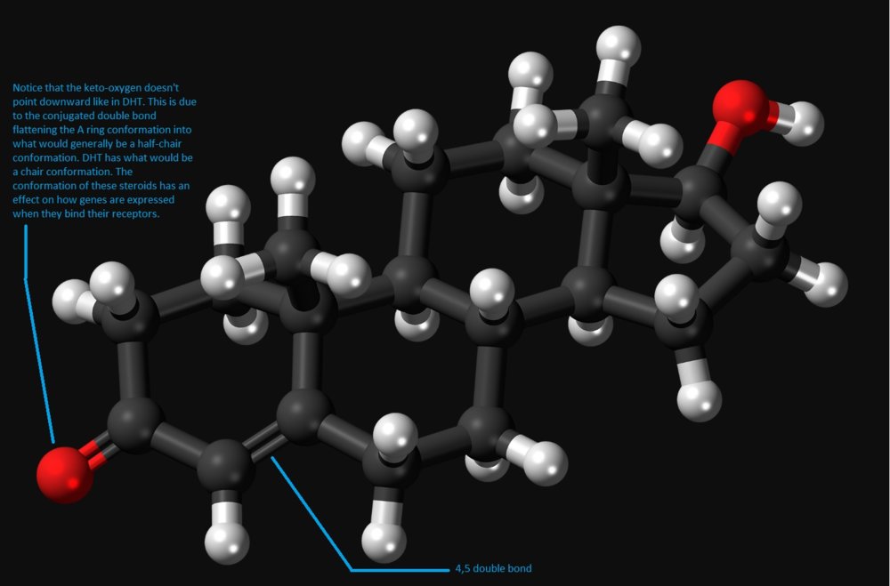 Testosterone_conformation.jpg