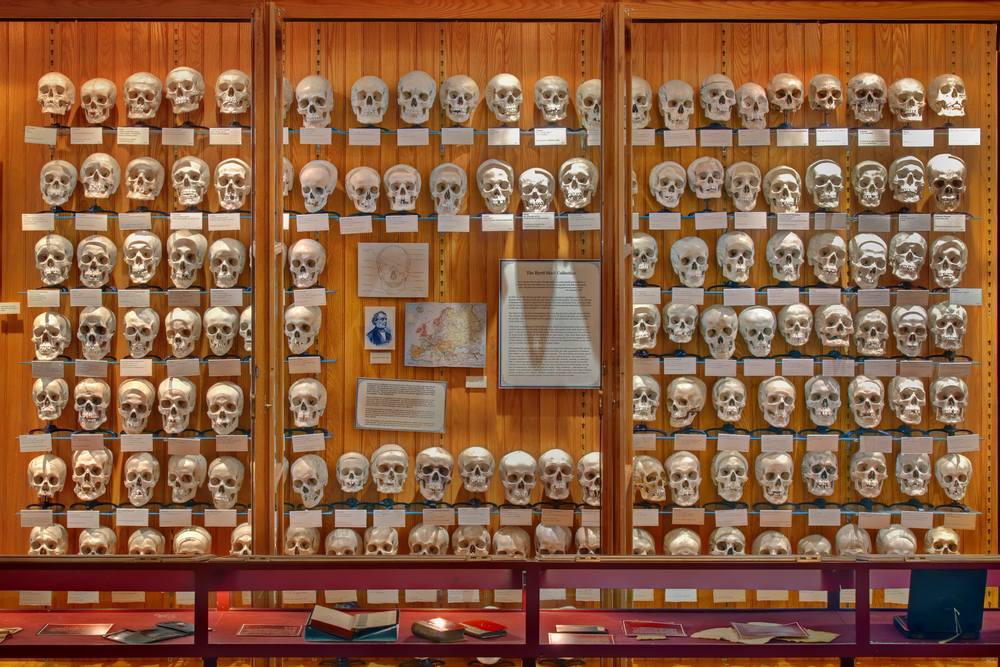 The-Hyrtl-Skull-Collection.jpg