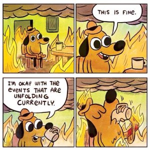 this-is-fine.jpg