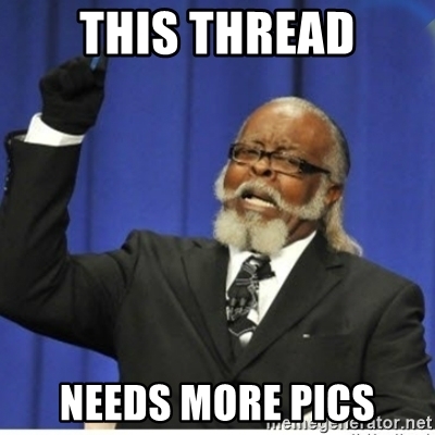 this-thread-needs-more-pics.jpg
