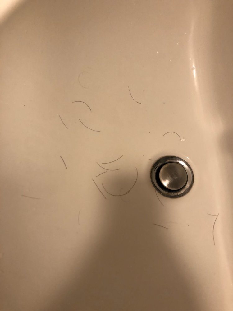 WhatsApp Image 2018-08-01 at 10.18.50.jpeg