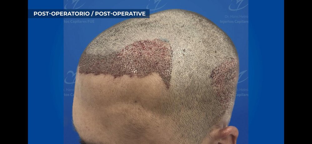 WhatsApp Image 2020-09-19 at 15.24.49.jpeg