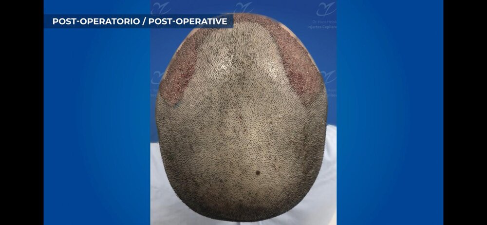 WhatsApp Image 2020-09-19 at 15.24.50.jpeg