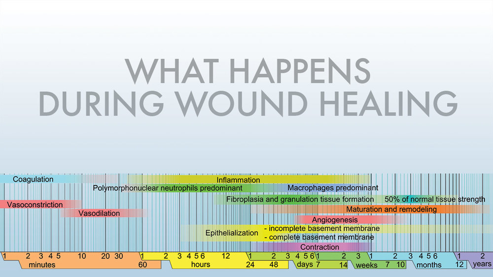 wound_healing.jpg