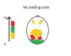 balding scale.jpg