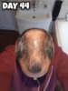 Day 44 Final.jpg