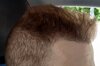 9 mesi hair transplant  (3).jpg
