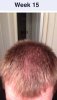 Week 15.jpg