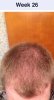 Week 26.jpg