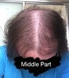 Middle Part.JPG