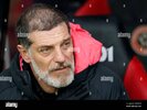 sheffield-england-25th-february-2023-slaven-bili-watford-manager-during-the-sky-bet-championsh...jpg