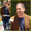 wentworth-miller-paid-shade.jpg