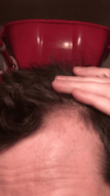DE207457-6699-4D04-964C-2F88E3AD4F42.png
