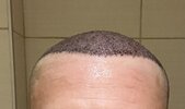 IMG_1319.jpeg