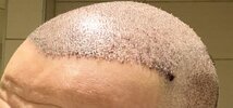 IMG_1351.jpeg