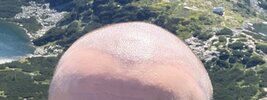 IMG_1461.jpeg