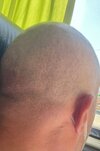 IMG_1509.jpeg